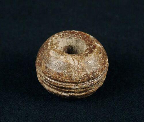 Donkerbruine spinklos met rond midden ringen