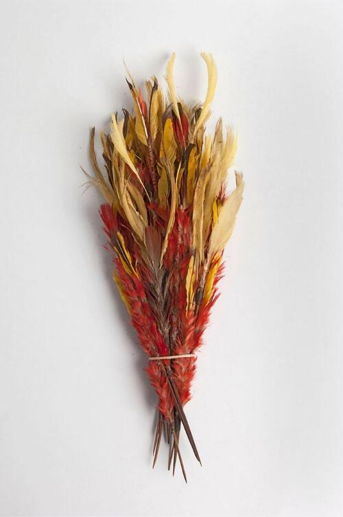 Bundle hair decorations, sixty wooden pins with feathers