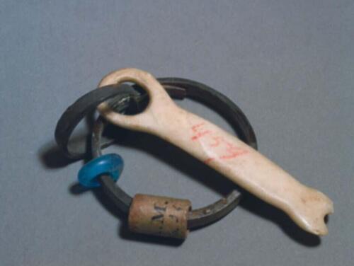 Oorring van schildpad met benen hanger