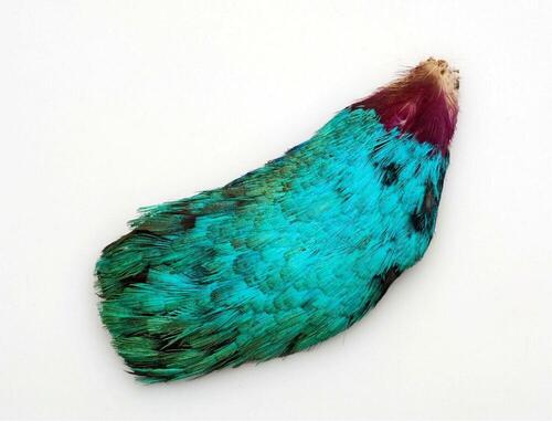 Ear decoration made of hummingbird feathers