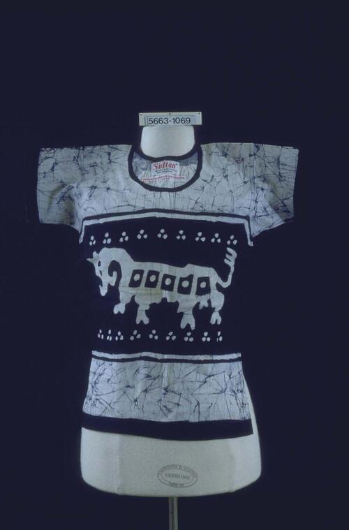 Katoenen kindershirt met fabeldier in brede baan over de borst