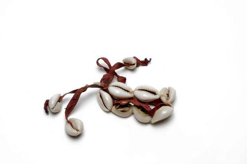 Armband van leer en kaurischelpjes