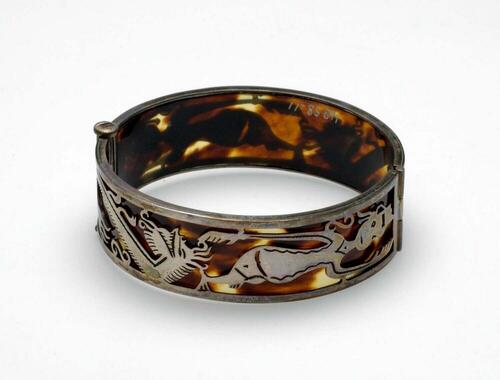 Armband van schildpad en zilver