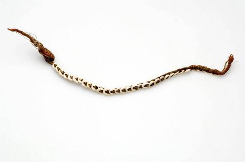 Knieband