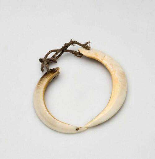 Armband van varkensslagtanden