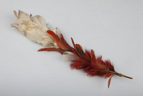 Ornamental feather