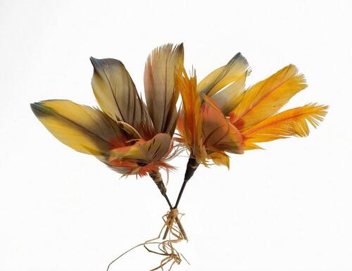 Wooden ear ornament with feathers and capybara tooth
