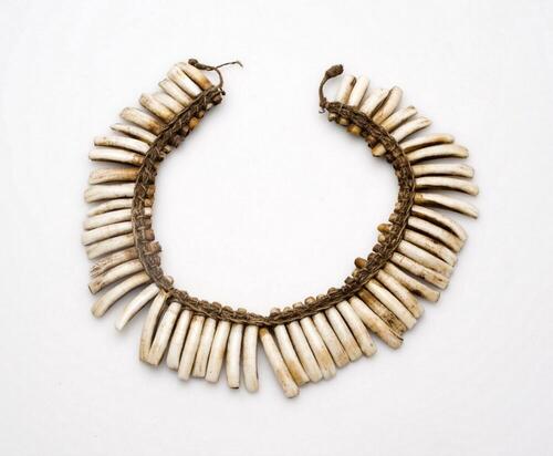 Necklace made of pig teeth