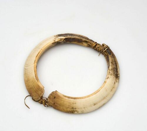 Armband van twee varkenslagstanden