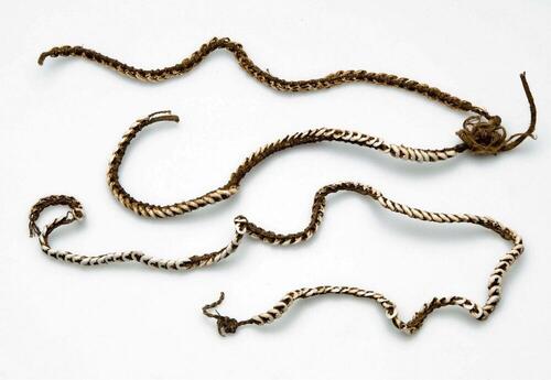 Adornment for breast and back
