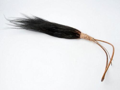Plume of casuaris feathers, used as headdress for special occasions
