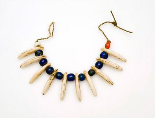 Wristlet for girls, made of dog teeth and abrus seeds