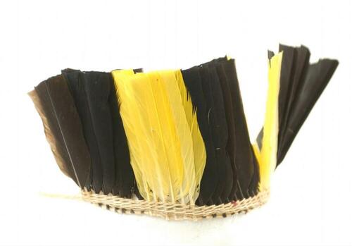 Feather headdress