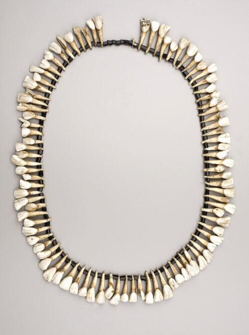 Elk tooth necklace