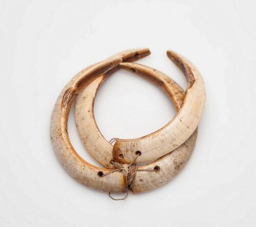 Armring van varkensslagtanden
