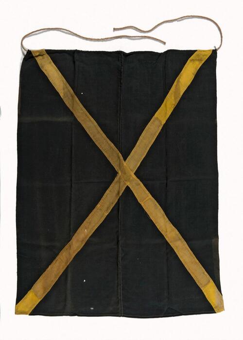 Vlag