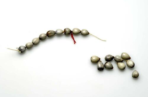 Armband van pitten