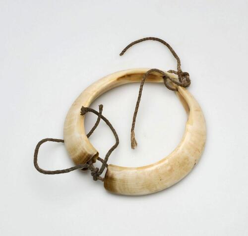 Armband van varkensslagtanden
