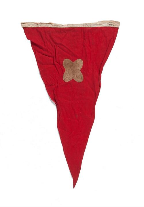 Vlag