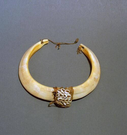 Armband van varkensslagtanden