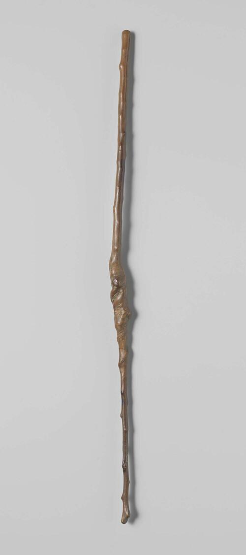 Wandelstok van een knoestige tak, recht model met bolle knop