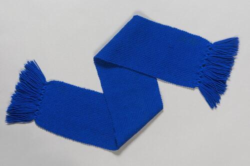 Gebreid blauw dasje